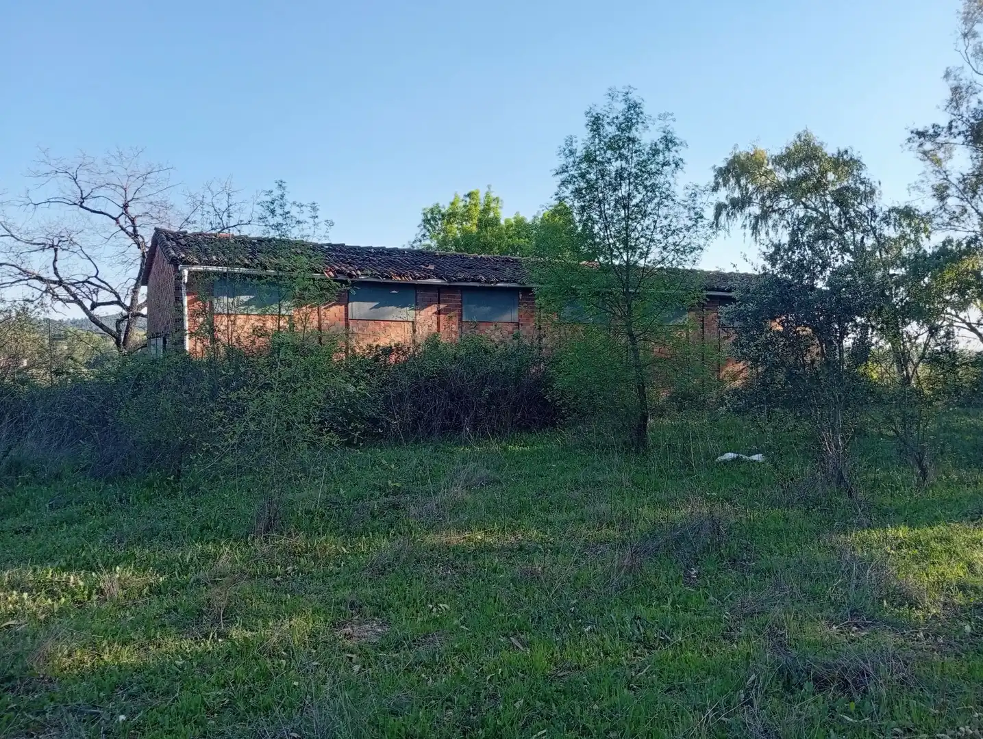 Terreni e lotti in vendita a Villanueva de la Vera, imagen 136