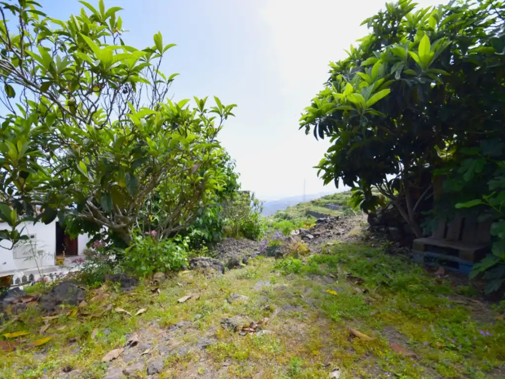 Finca rústica en venda en Garachico