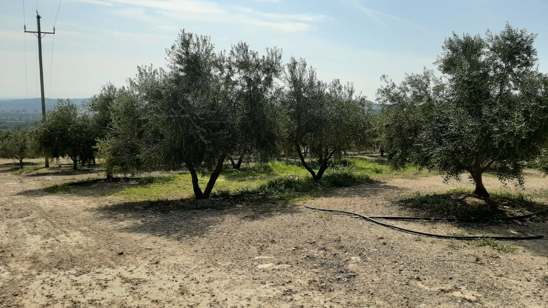 Rural land for sale in N/A, imagen 8
