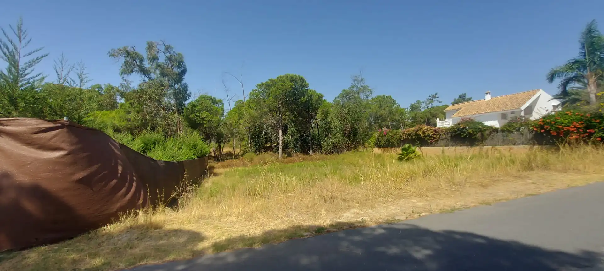 Terreny residencial en venda a Urbanización las Palmeritas 25C, imagen 2
