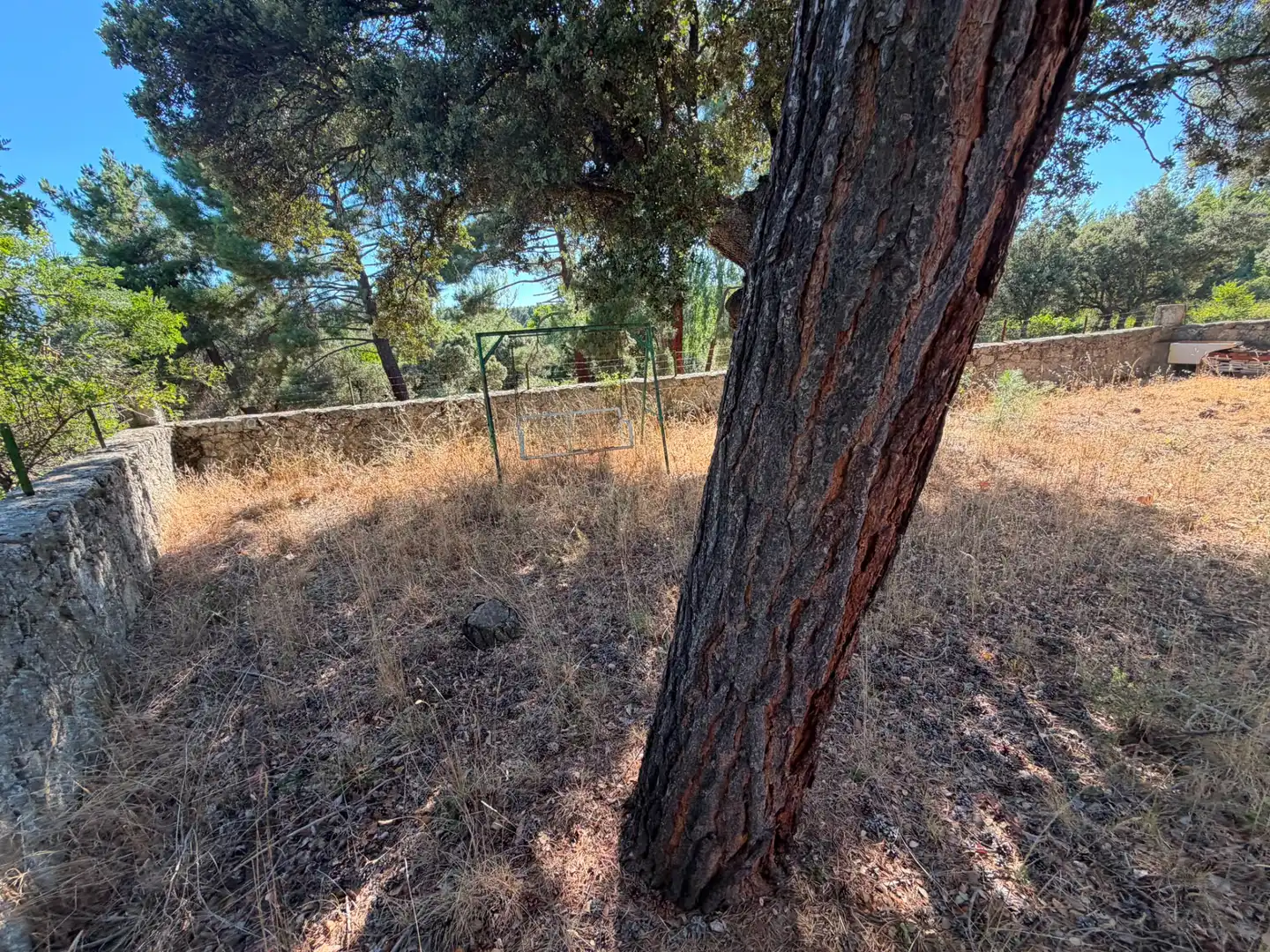 Finca rústica en venta en Muñana