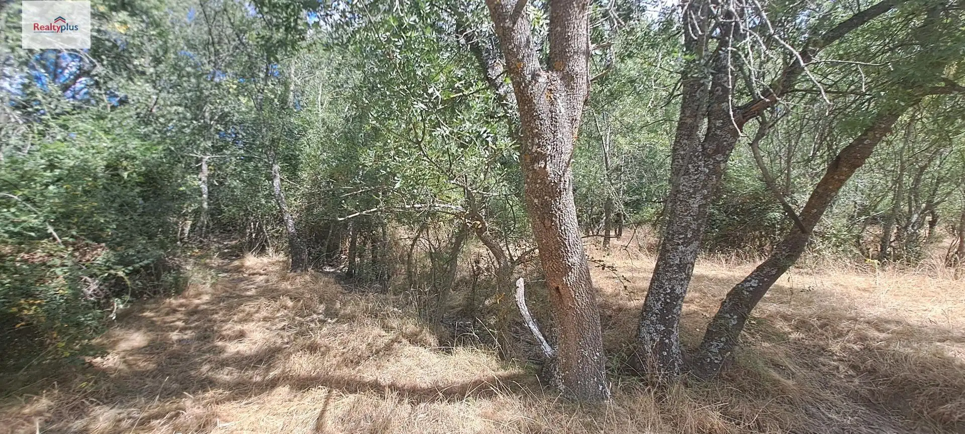 Terreni e lotti in vendita a Sotosalbos, imagen 6