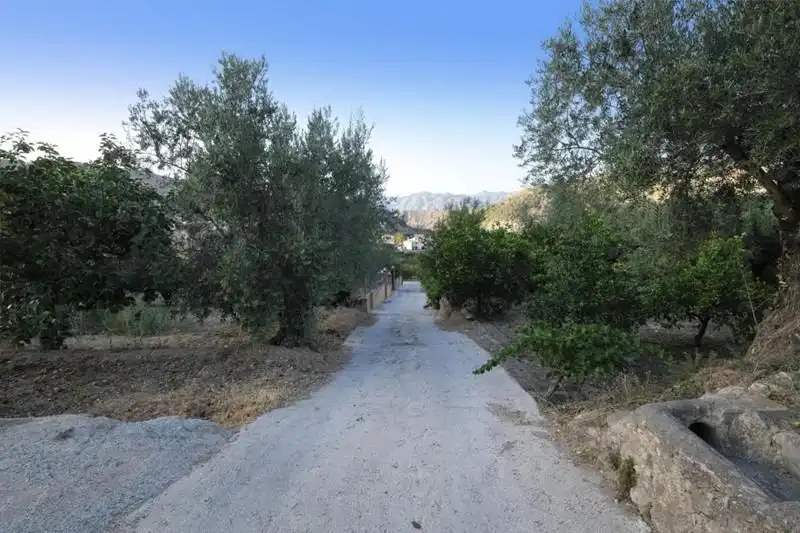 Rural land for sale in Pasaje Polígono 5 Parcela 136 SERREZUELA. VILLAMENA (GRA, imagen 31
