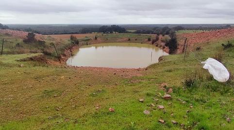 Foto 2 de Finca rústica en venda a La Nava de Santiago , Badajoz