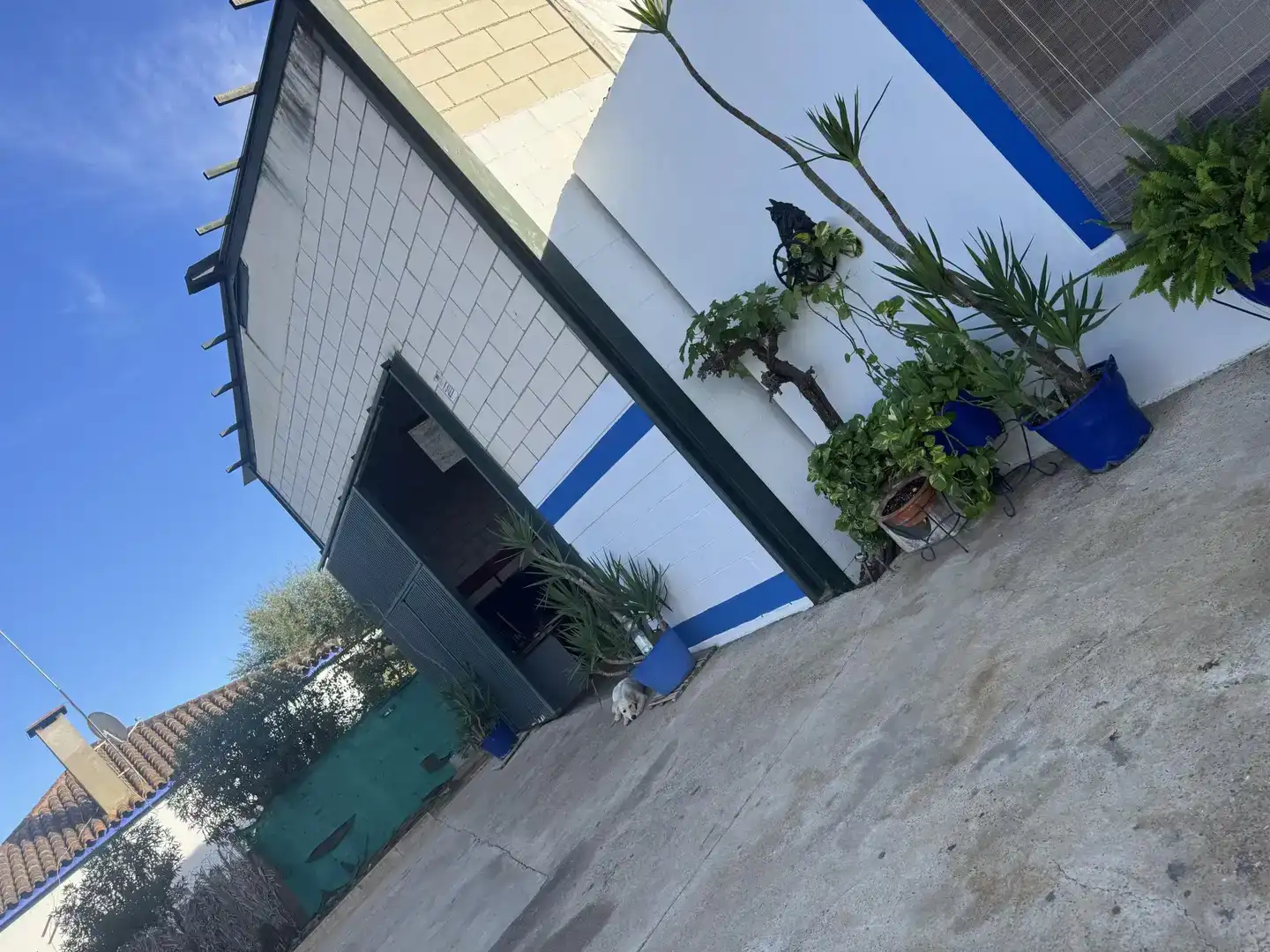 Vista exterior de Casa o xalet en venda en Carmona amb Aire condicionat, Jardí privat i Traster
