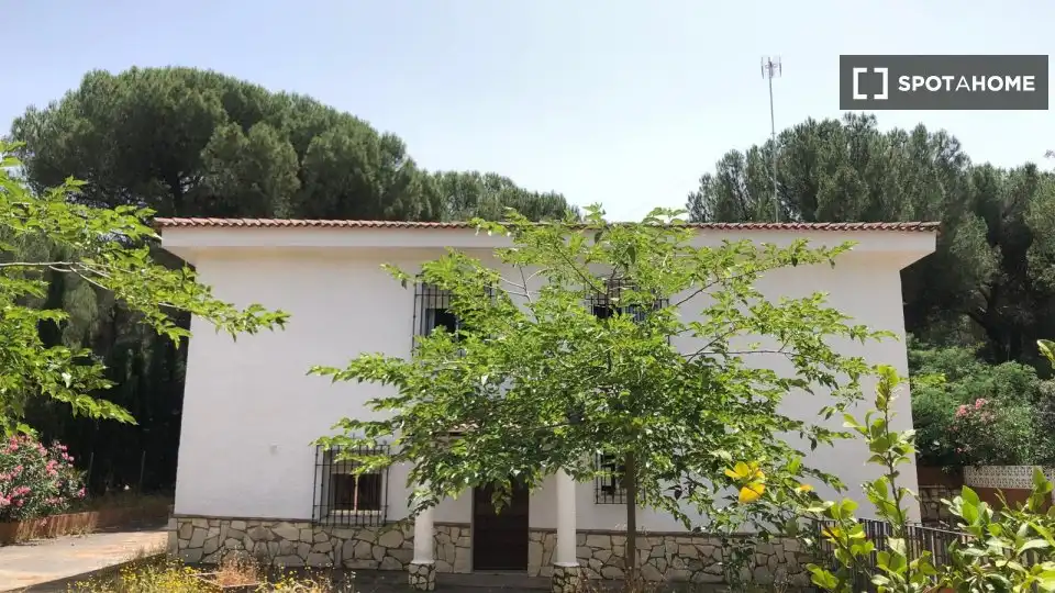 Habitació a Las Jaras