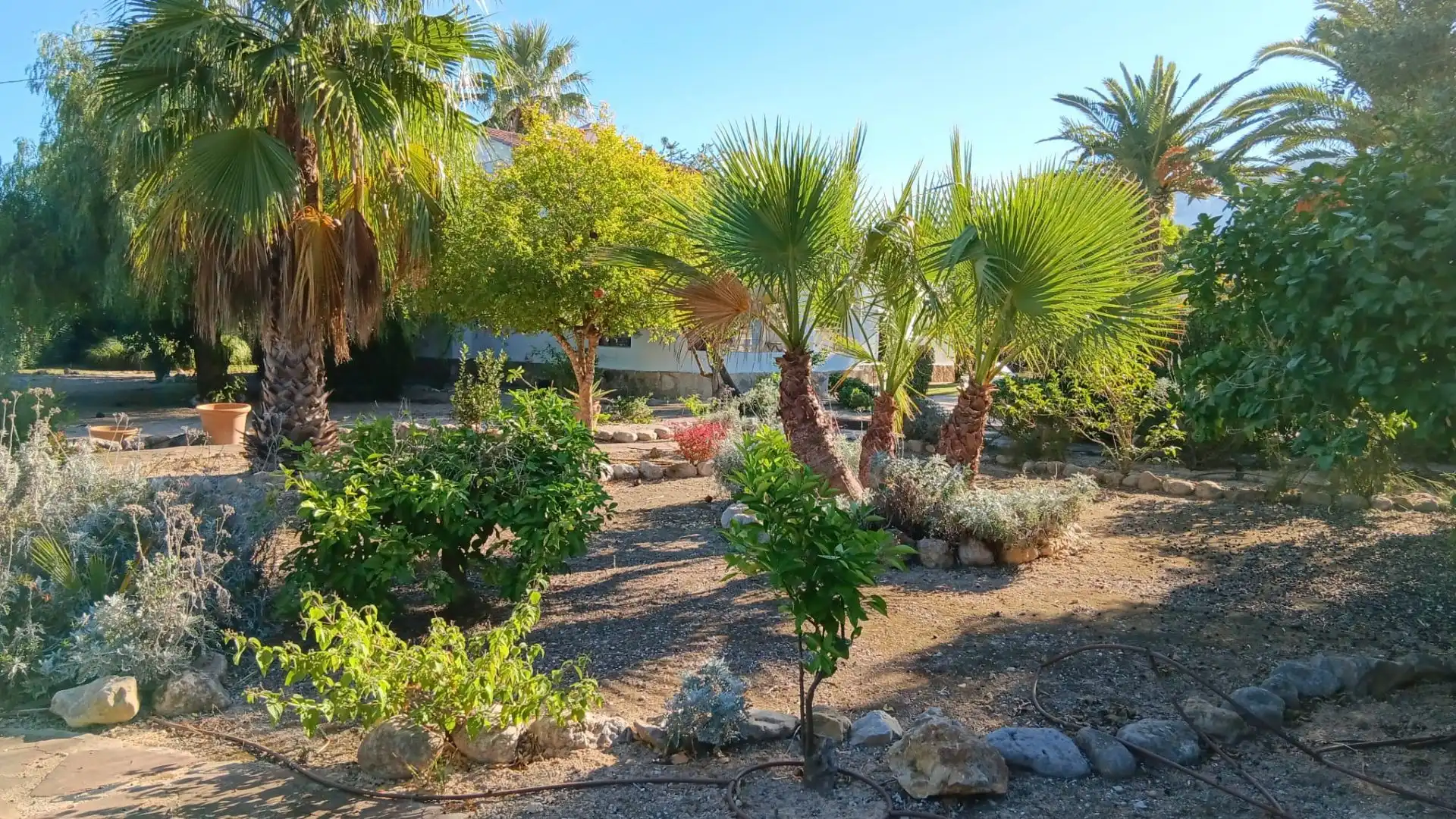 Jardí de Casa o xalet en venda en Dénia amb Aire condicionat, Calefacció i Jardí privat