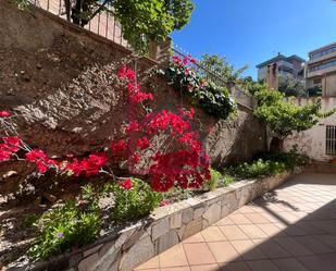 Garden of House or chalet for sale in Esplugues de Llobregat  with Terrace and Balcony