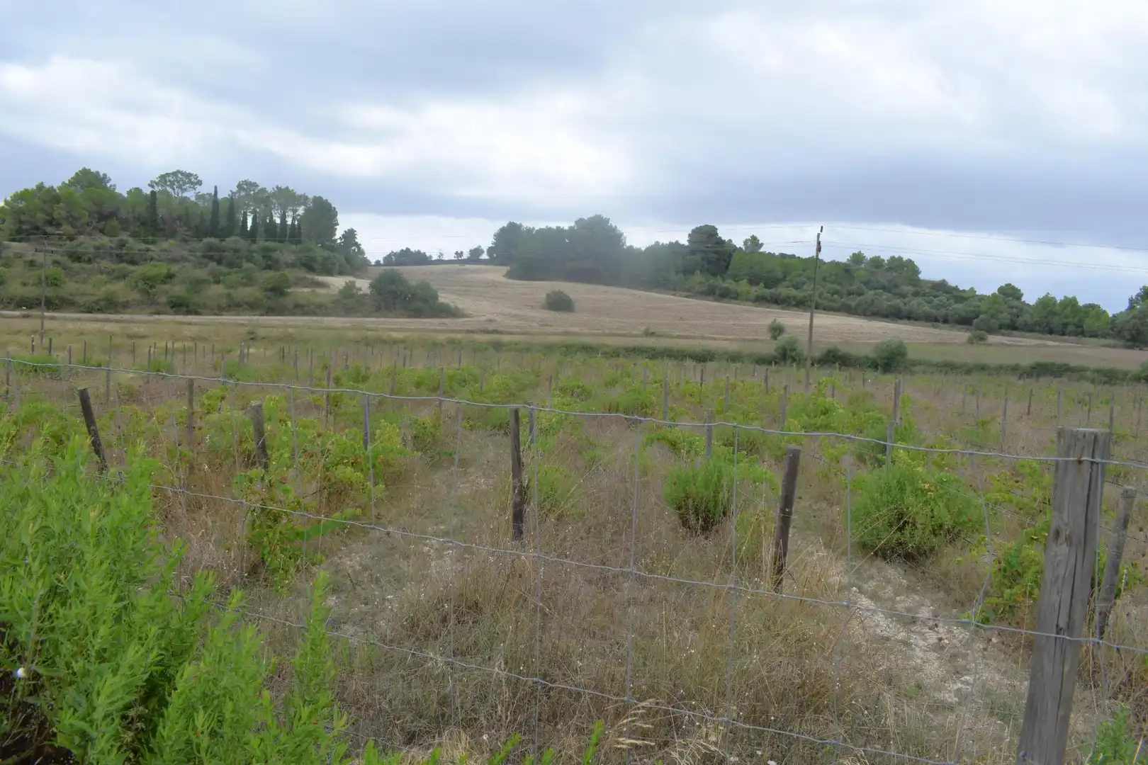 Residential land for sale in Santa Margalida Poble, imagen 8