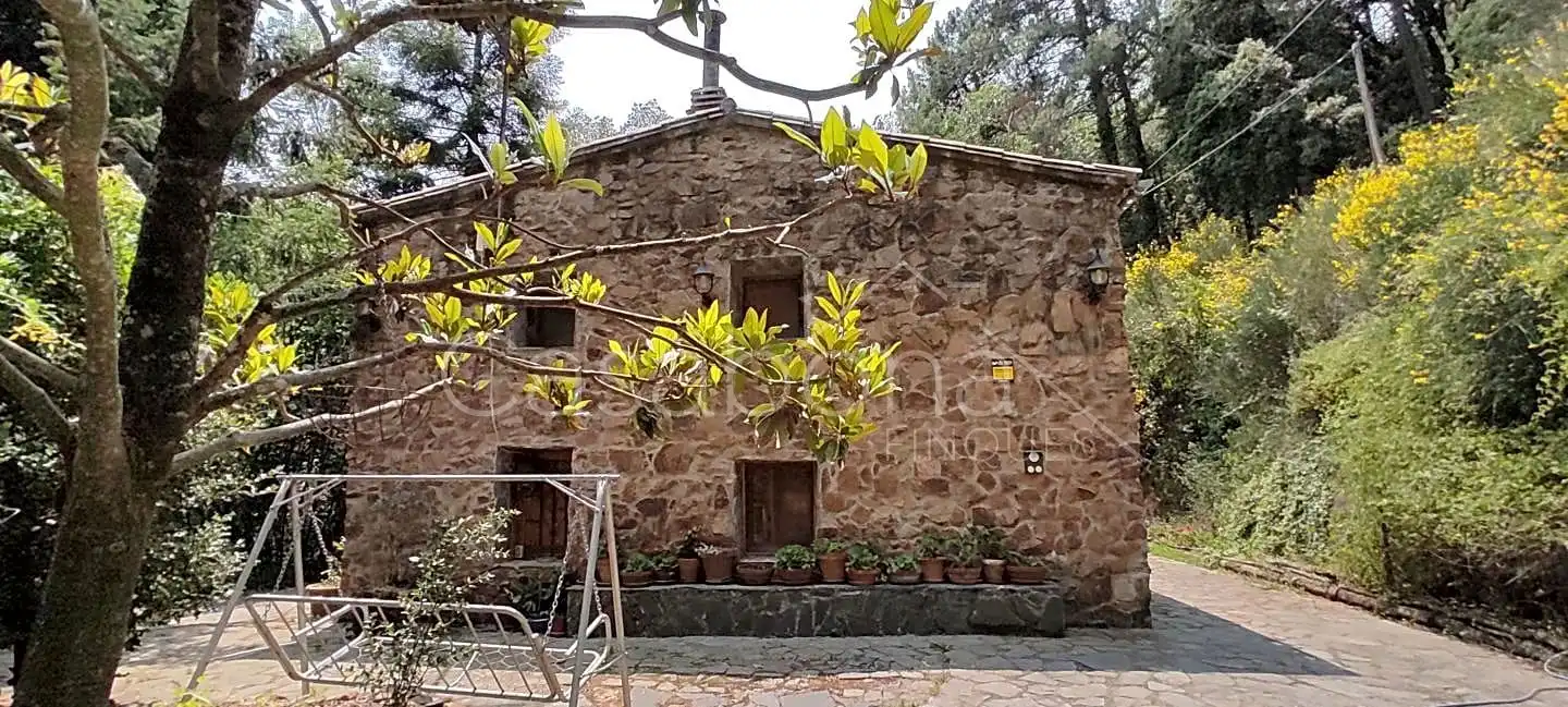 Vista exterior de Finca rústica en venta en Arbúcies con Jardín privado, Terraza y Amueblado