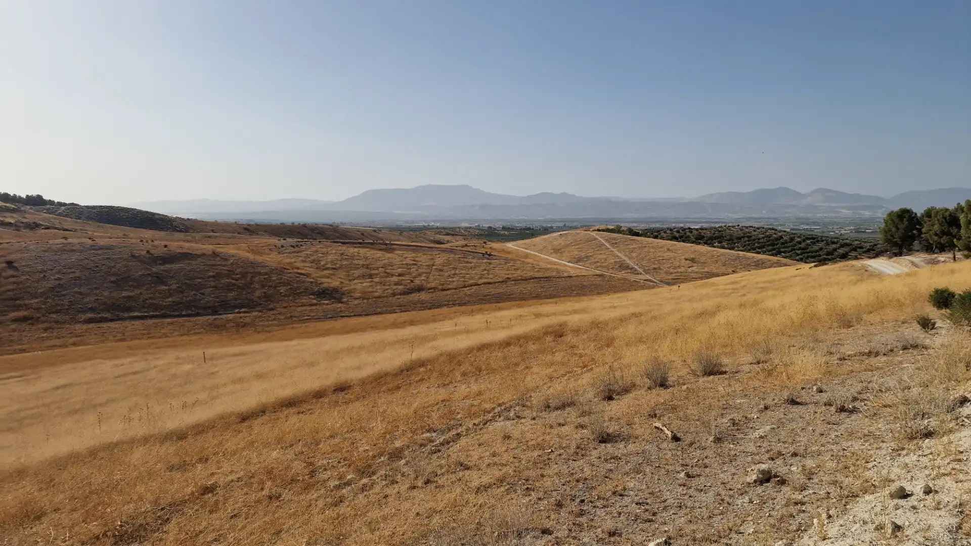 Terreny rústic en venda a Lugar Polígono 9 Parcela 113, imagen 5