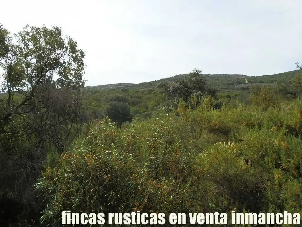 Terreny rústic en venda a Alcolea de Calatrava, imagen 17