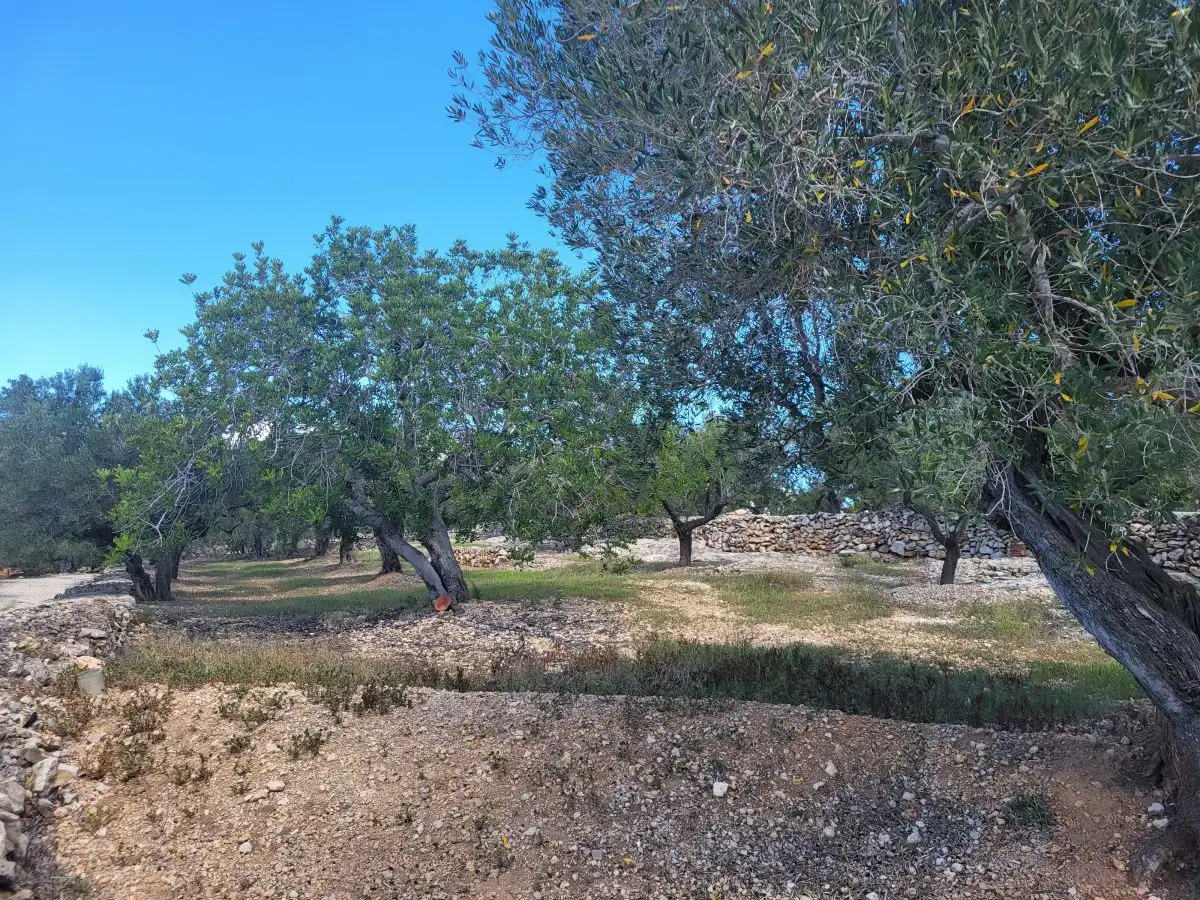 Country house for sale in Bassa del mig, imagen 9