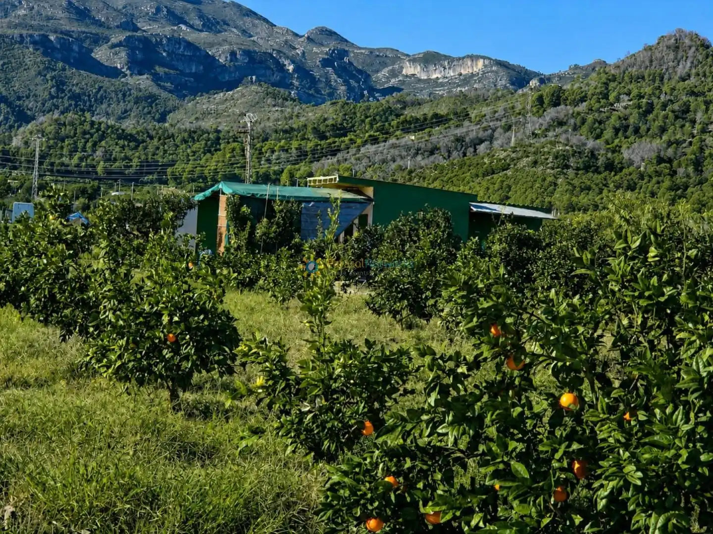 Jardín de Finca rústica en venta en Xeraco con Jardín privado, Terraza y Trastero