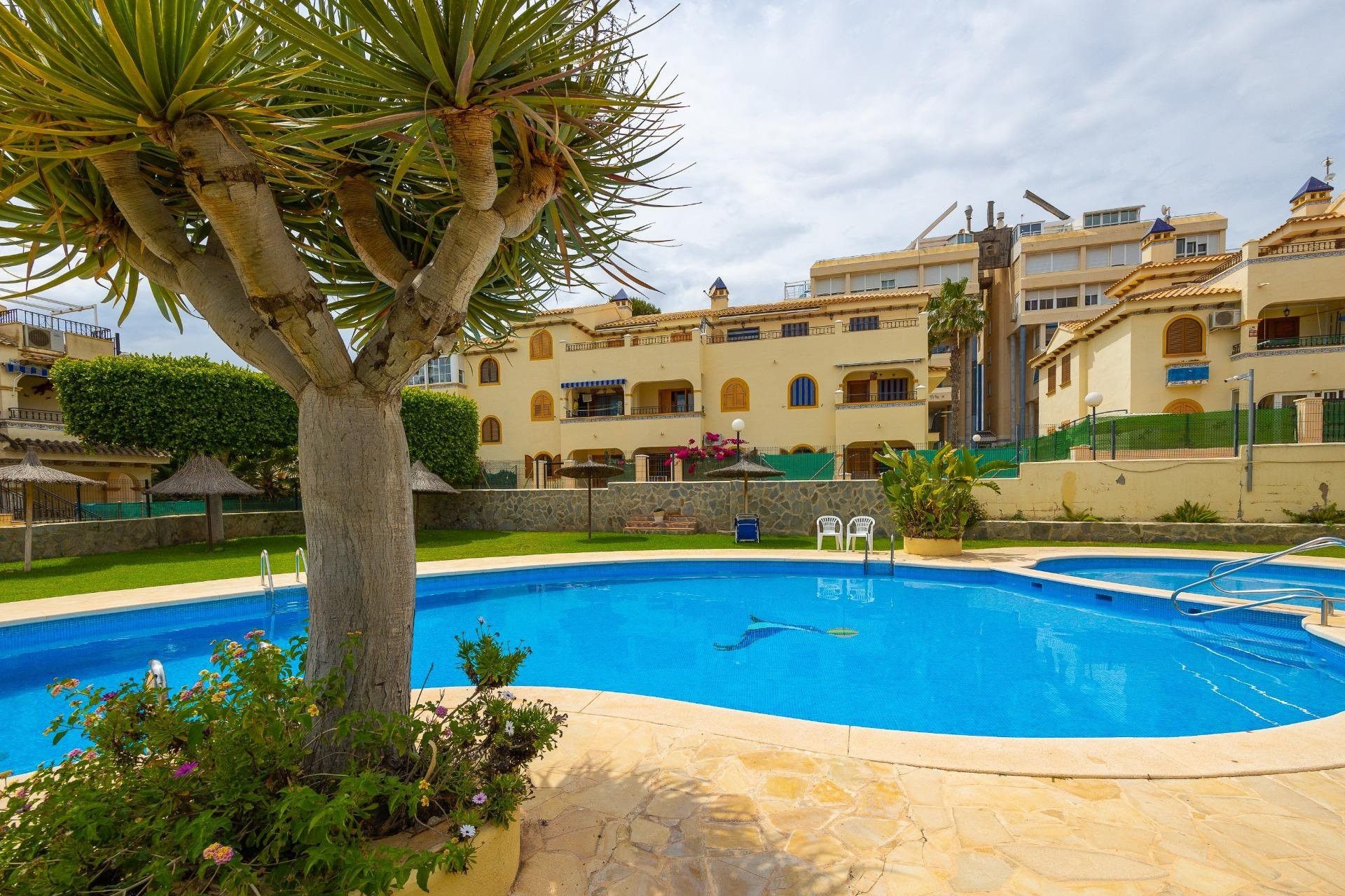 Piscina de Casa o xalet en venda en Torrevieja amb Calefacció, Terrassa i Piscina