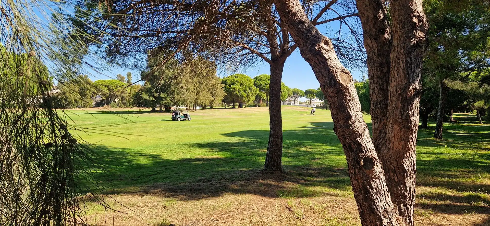 Exterior view of Apartments for sale in El Portil  with Terrace, Storage room and Furnished