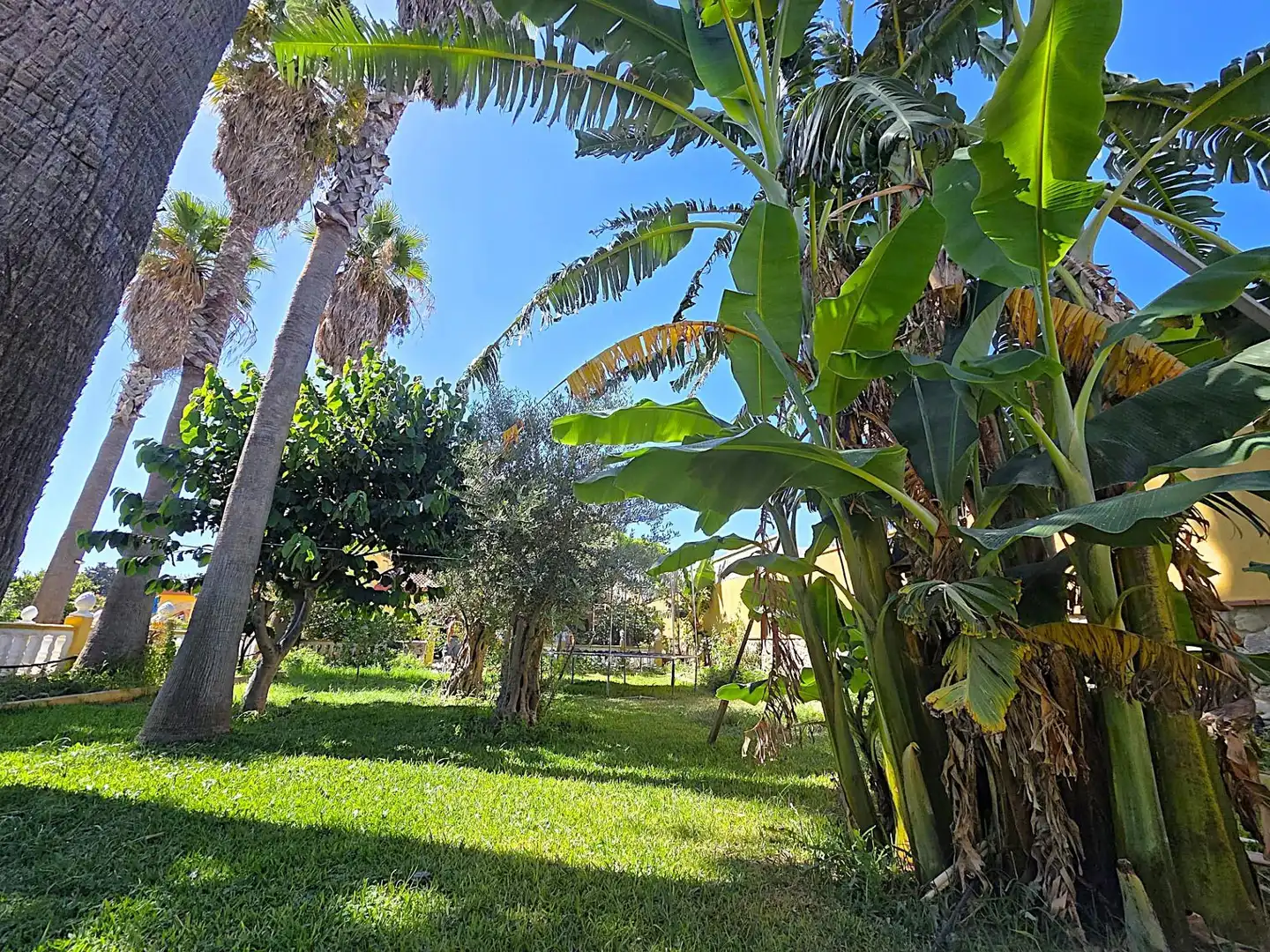 Garten von Haus oder Chalet zum Verkauf in Chiclana de la Frontera mit Privatgarten, Abstellraum und Schwimmbad