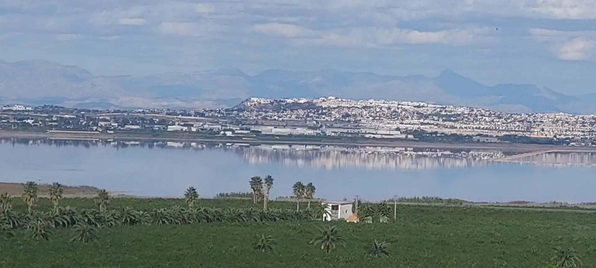Àtic amb terrassa en venda a Los Balcones - Los Altos, imagen 31