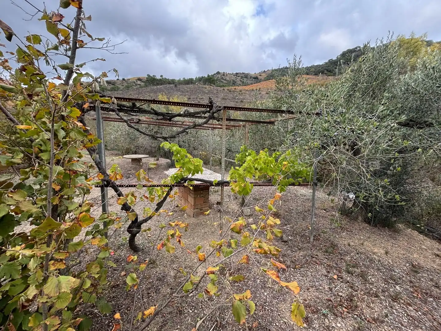 Terreno rústico en venta en Porrera, imagen 27