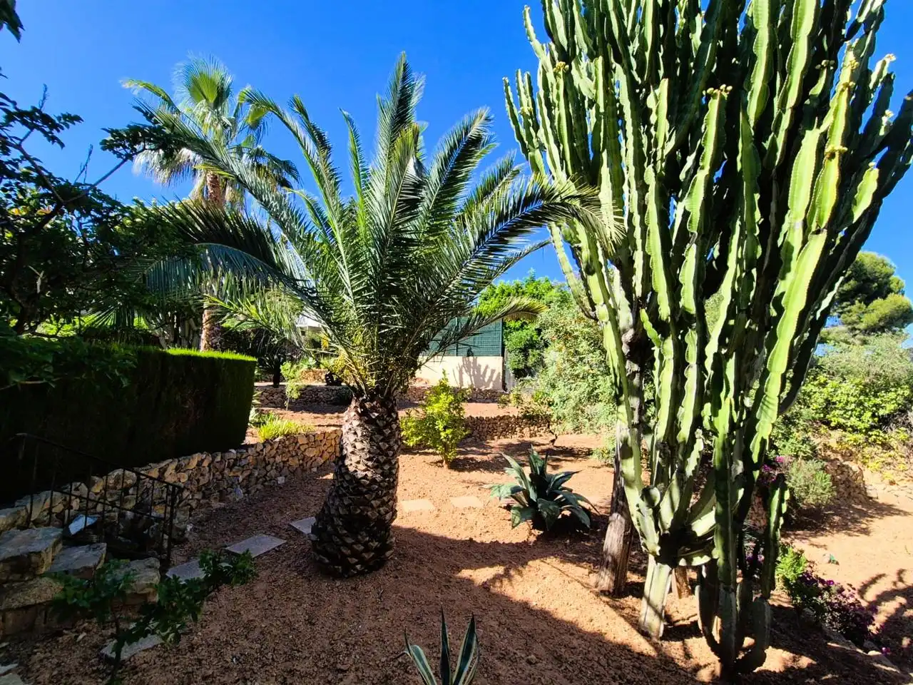 Jardín de Casa o chalet en venta en La Nucia con Jardín privado y Terraza