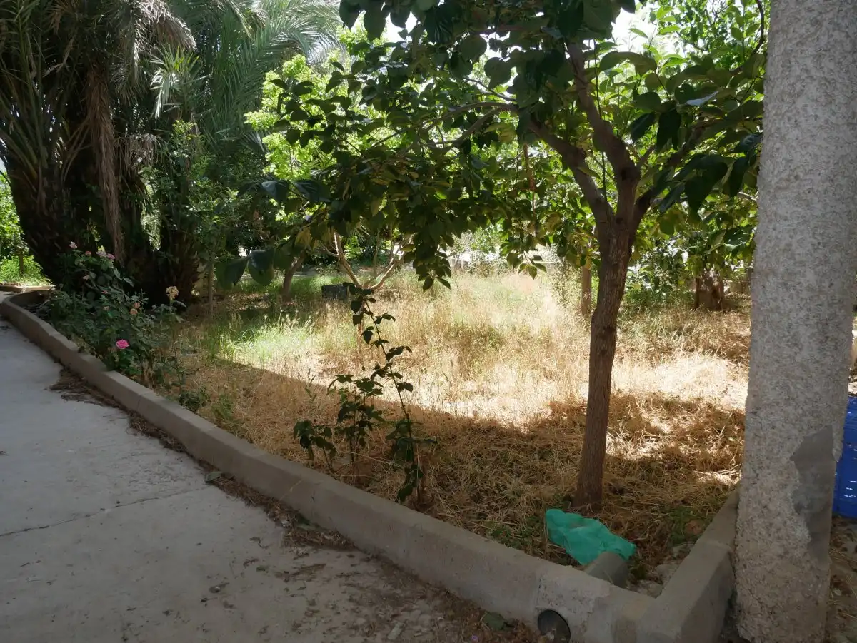 Nave industrial en venta en Pedanías Este, imagen 44