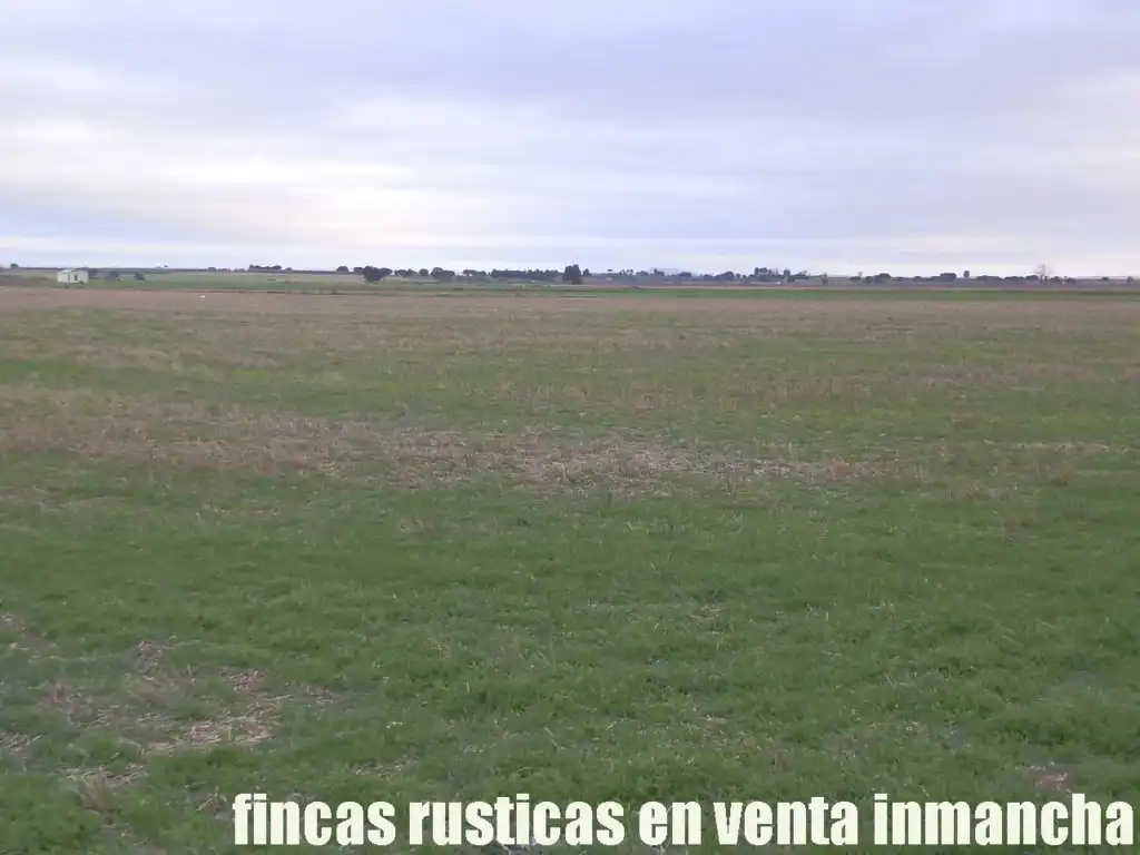 Terreno rústico en venta en Daimiel, imagen 10