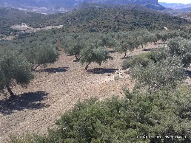 Lands and plots for sale in Bobadilla - Bobadilla Estación - La Joya, imagen 20