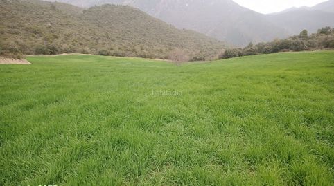 Finca en ager con cabaña de piedra, immagine 5