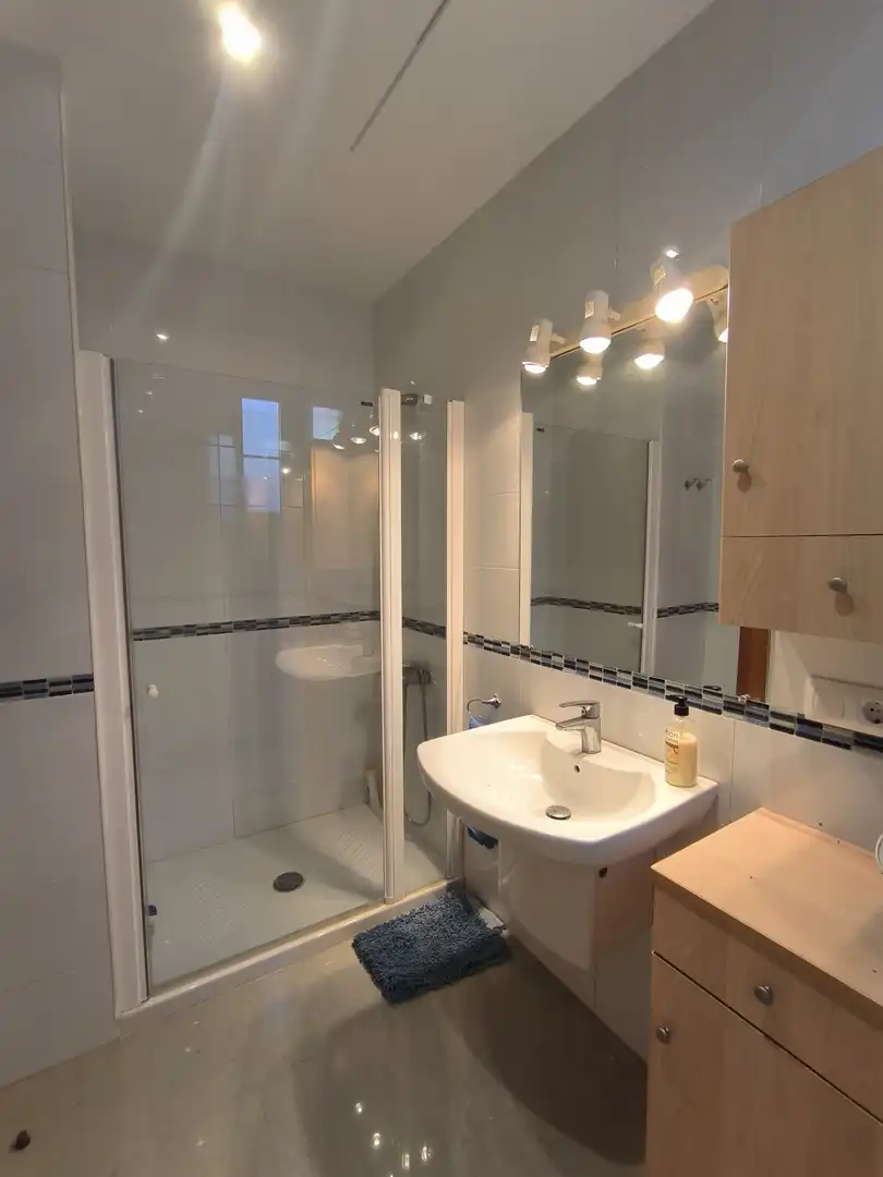 Bany de Apartament en venda en Alcanar amb Aire condicionat, Jardí privat i Terrassa