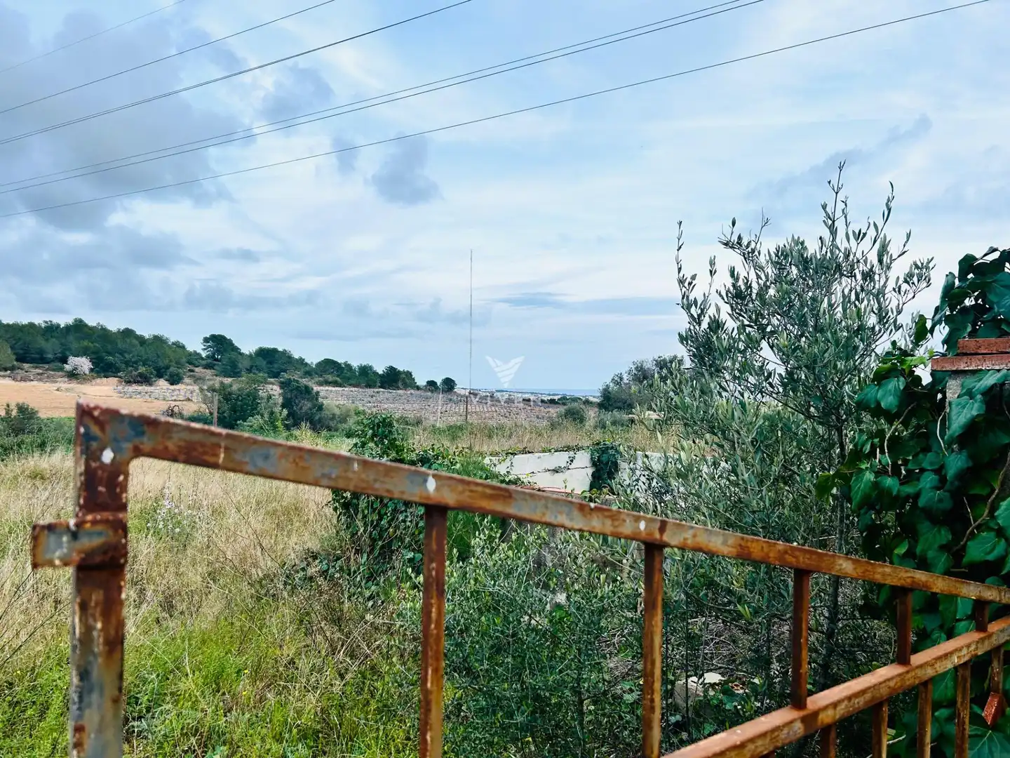 Rural land for sale in Nord, imagen 8