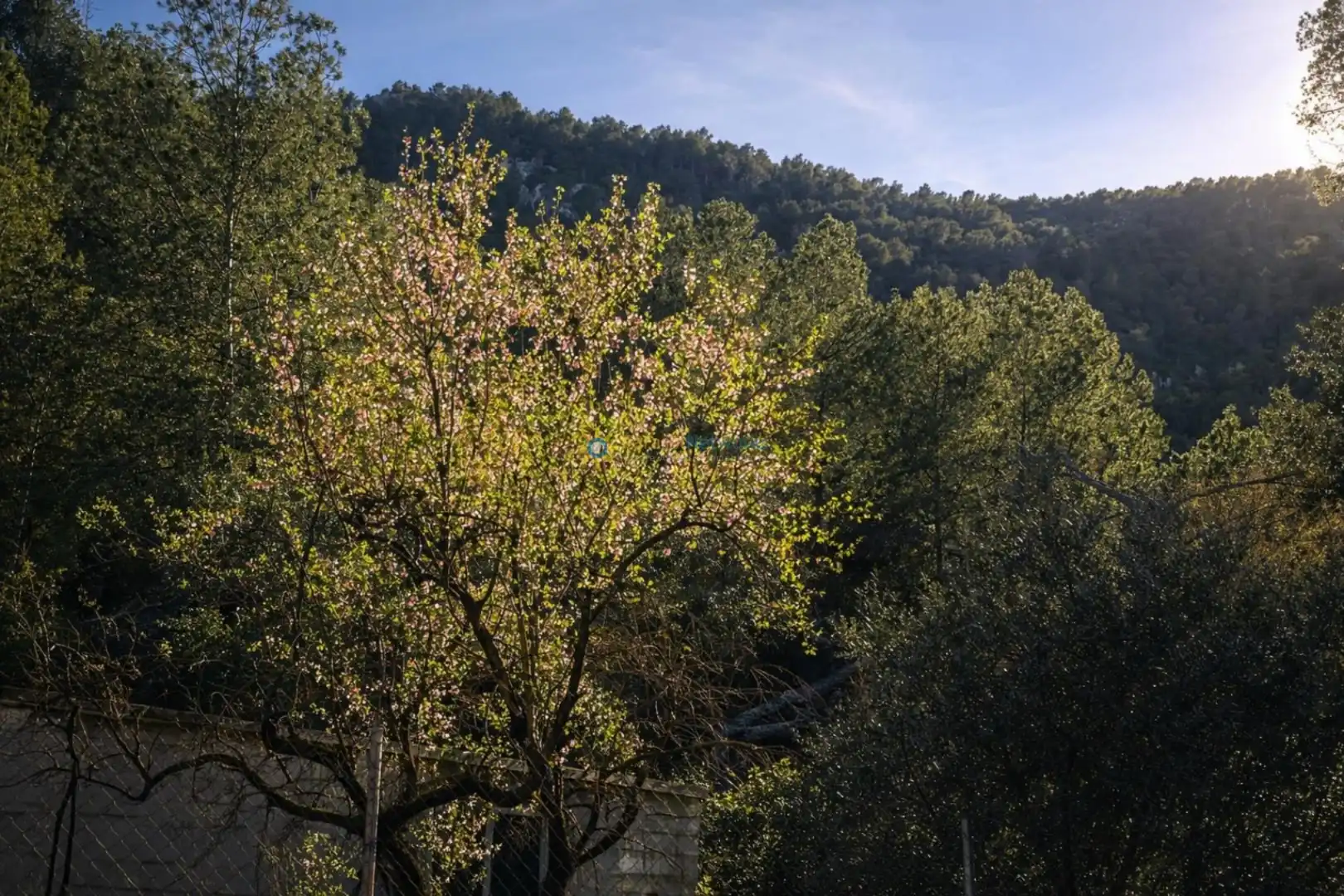 Jardí de Finca rústica en venda en Muro de Alcoy amb Jardí privat i Traster