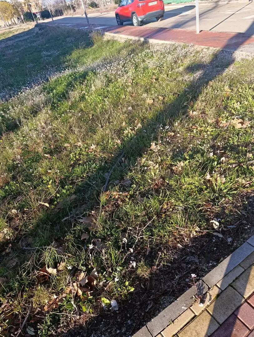 Terreni e lotti in vendita a Bullas, imagen 8
