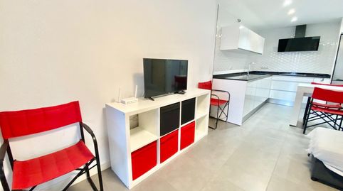 Photo 2 of Study for rent in Pueblo Latino, Pilar de la Horadada