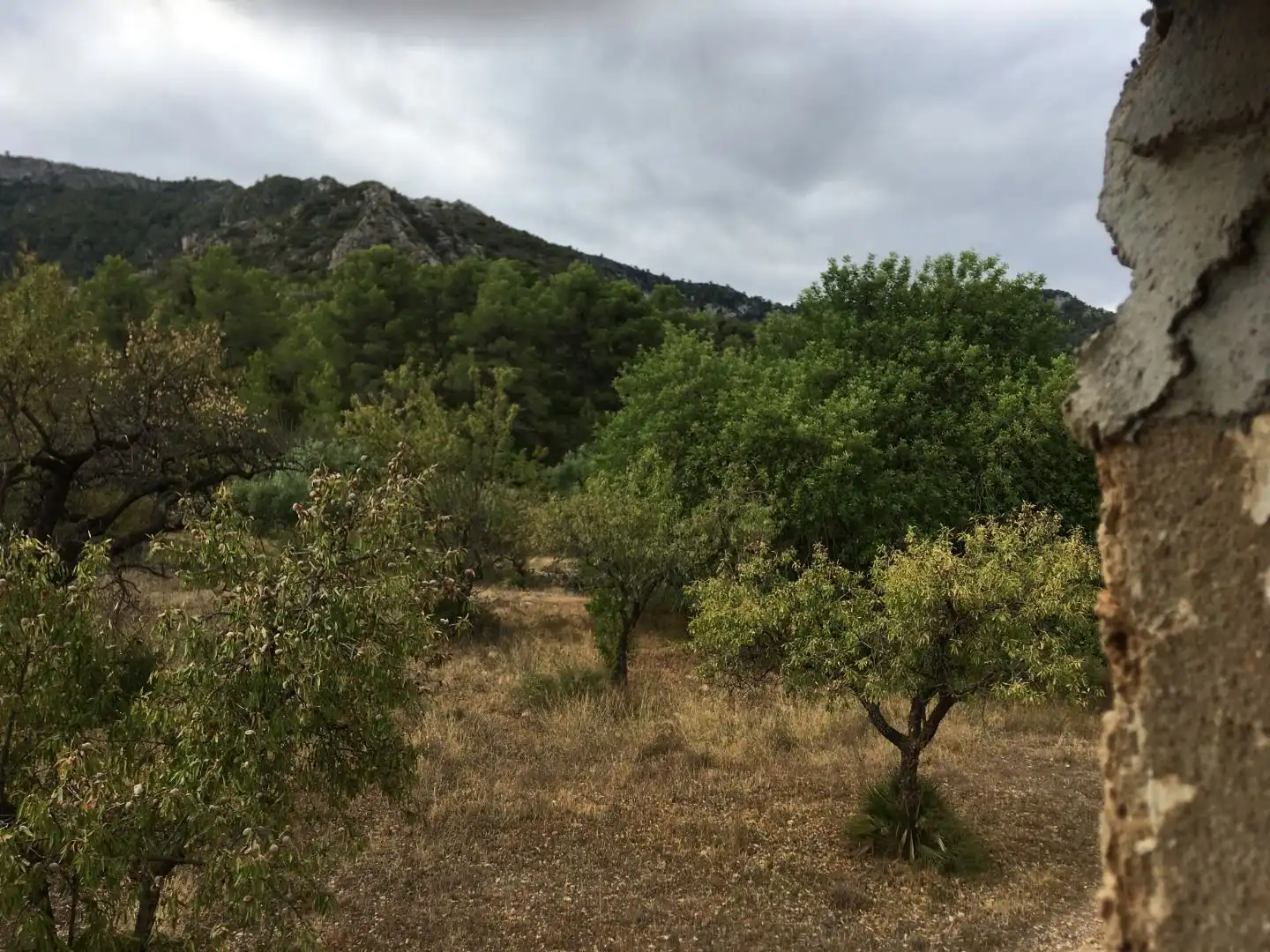 Finca rústica en venda en Benifallet