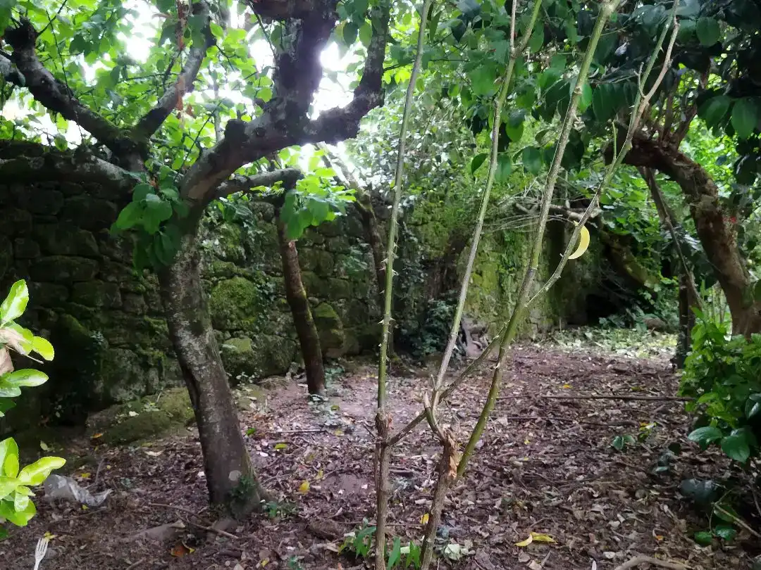 Casa o xalet en venda en Dodro, A Coruña