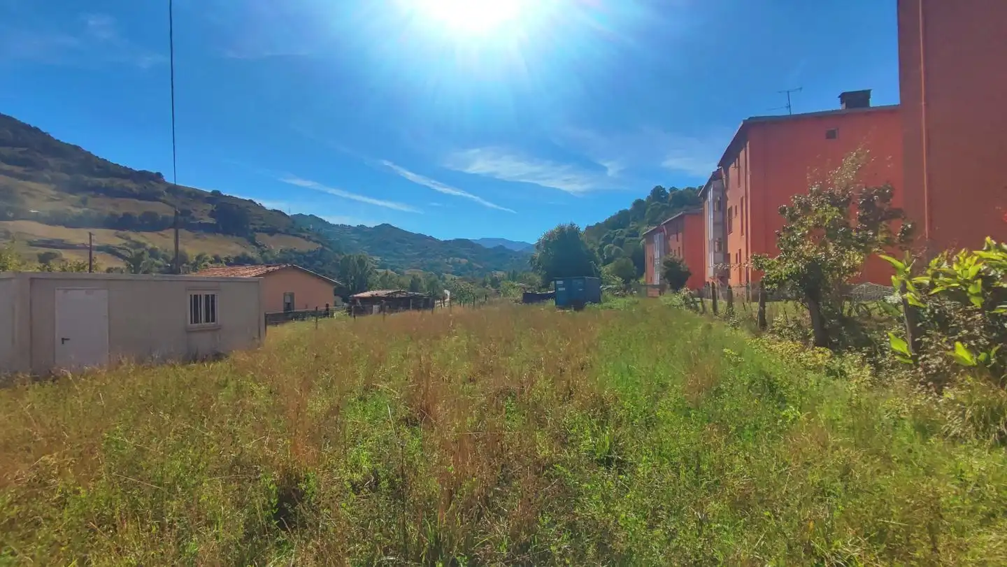 Lands and plots for sale in vega del ciego, imagen 3