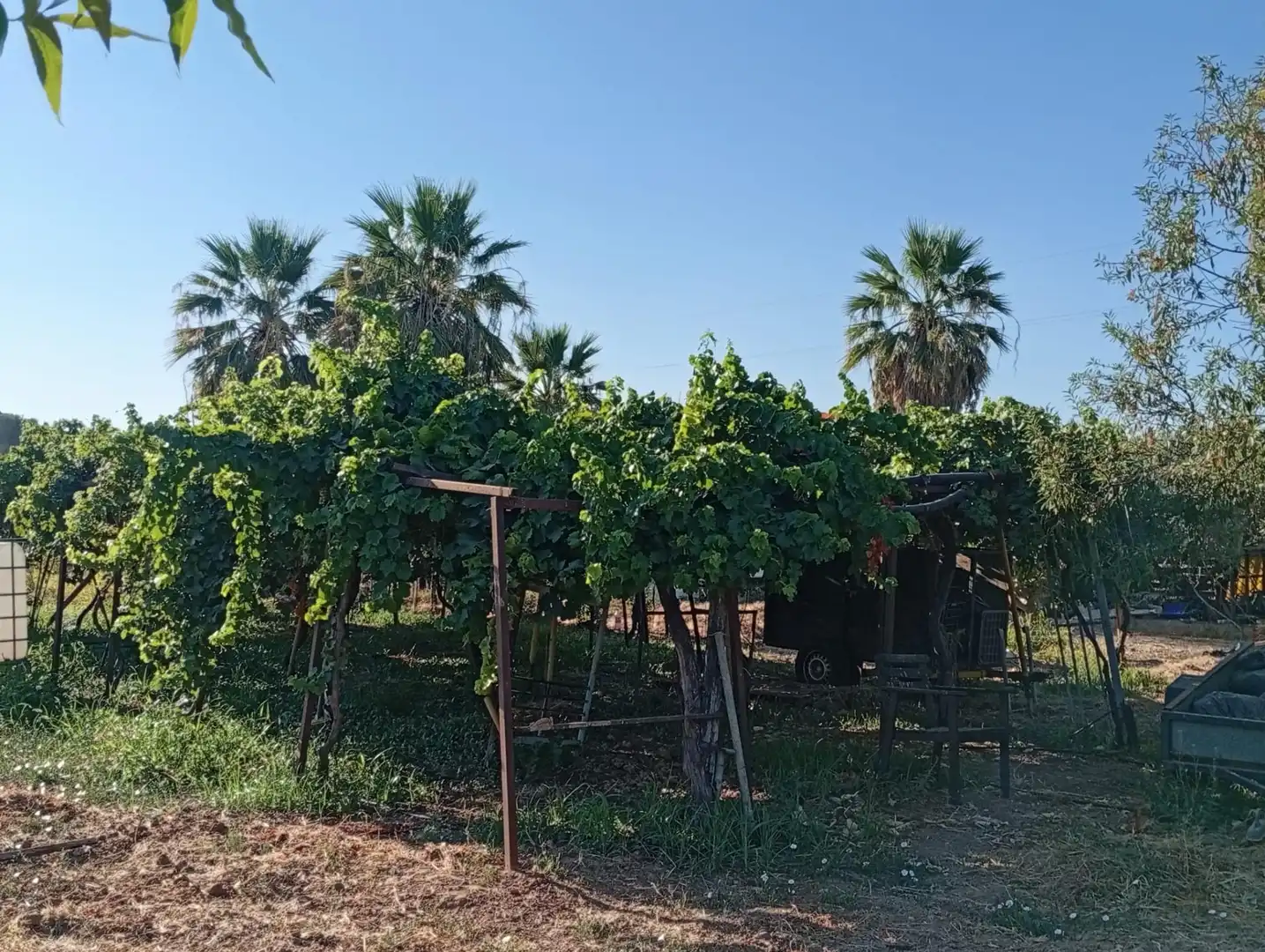 Residencial en venda en Sevilla