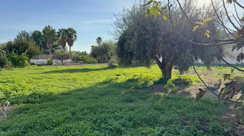 Foto 2 de Finca rústica en venda a Callosa de Segura, Alicante