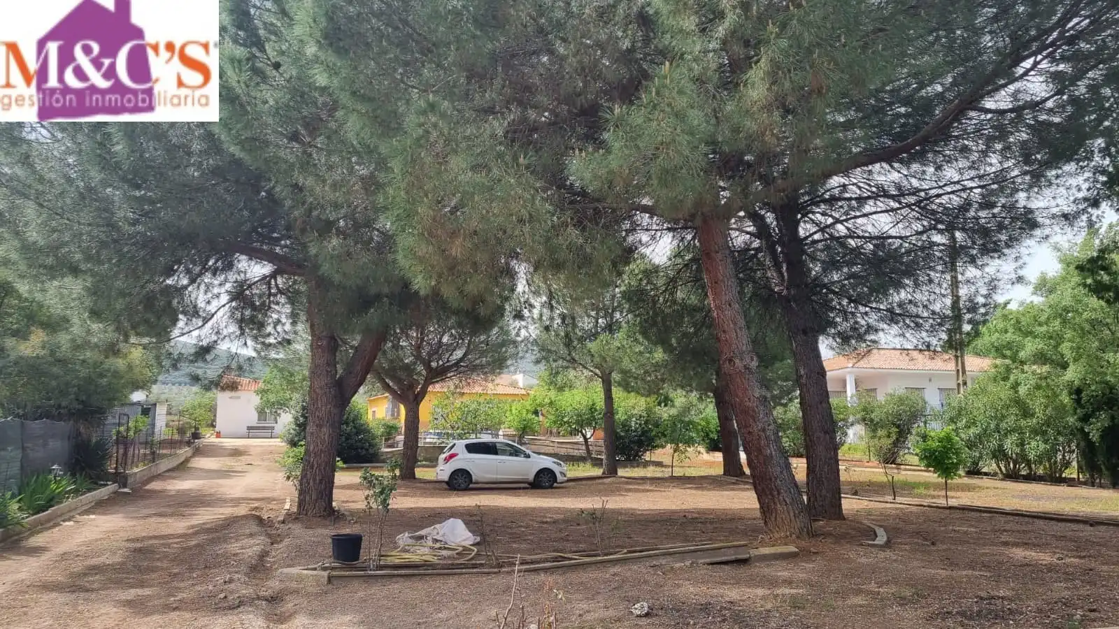Chalet con piscina en venta en Almodóvar del Campo, imagen 2