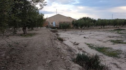 FINCA RUSTICA CON CASA PARA REFORMAR EN VENTA, imatge 3