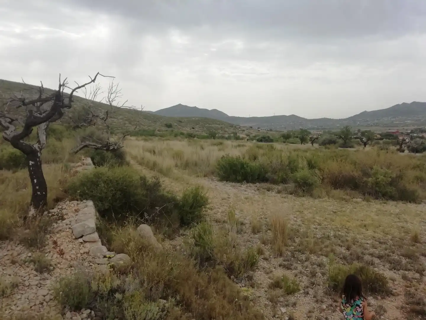 Terreno rustico in vendita a Hondón de los Frailes