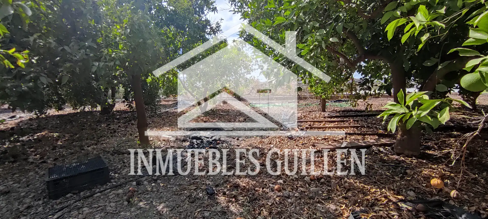 Casa o xalet en venda en Berja amb Aire condicionat, Jardí privat i Terrassa
