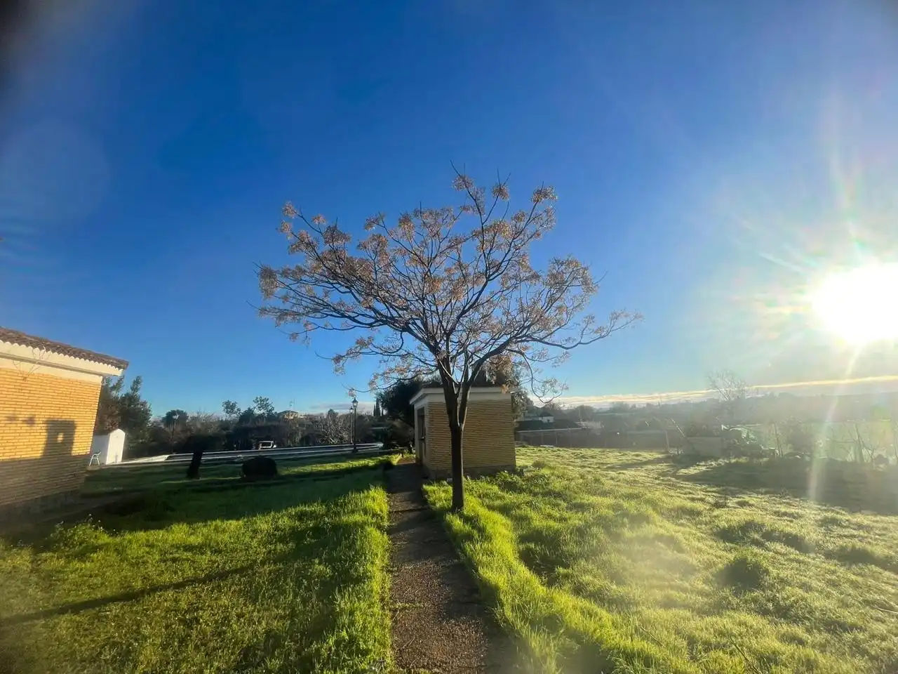 Vista exterior de Casa o chalet en venta en Carmona