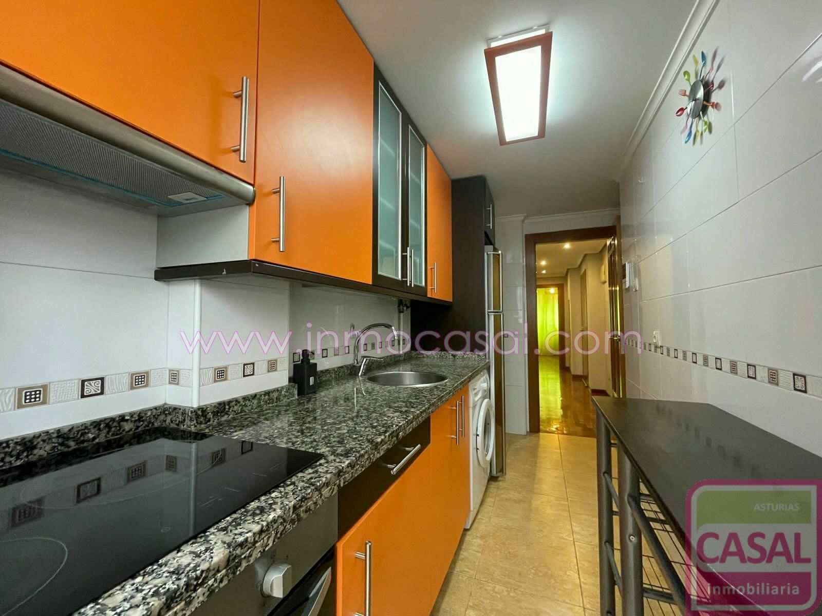 Kitchen of Flat to rent in Mieres (Asturias)  with Heating, Terrace and Furnished