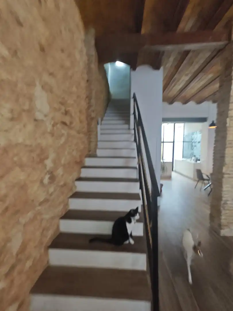 Terraced house for sale in Carrer de Mendizábal, imagen 21