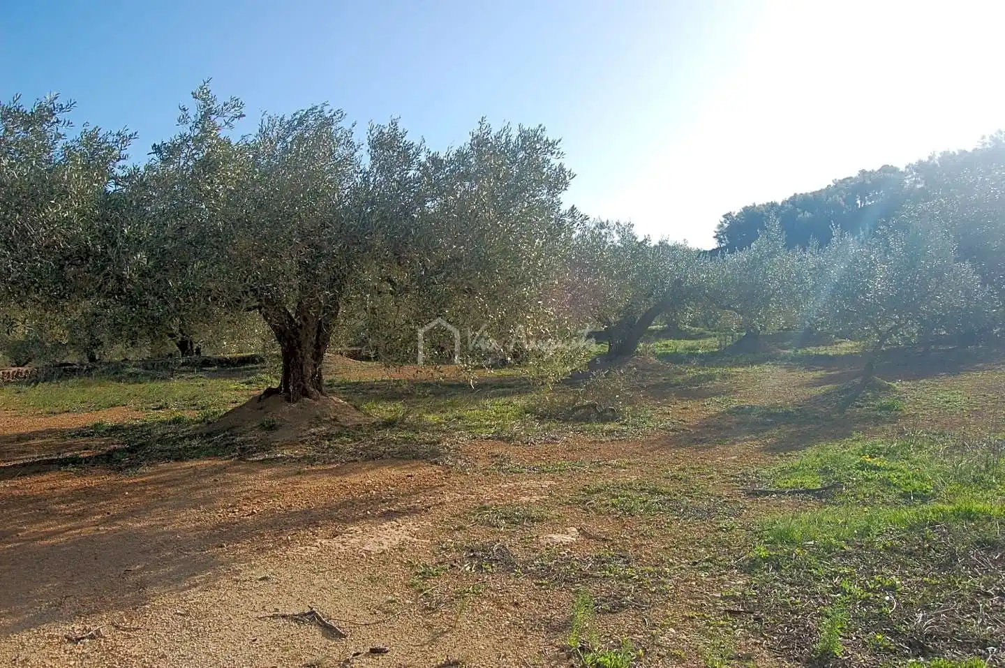 Terreno rustico in vendita a Masets, imagen 12