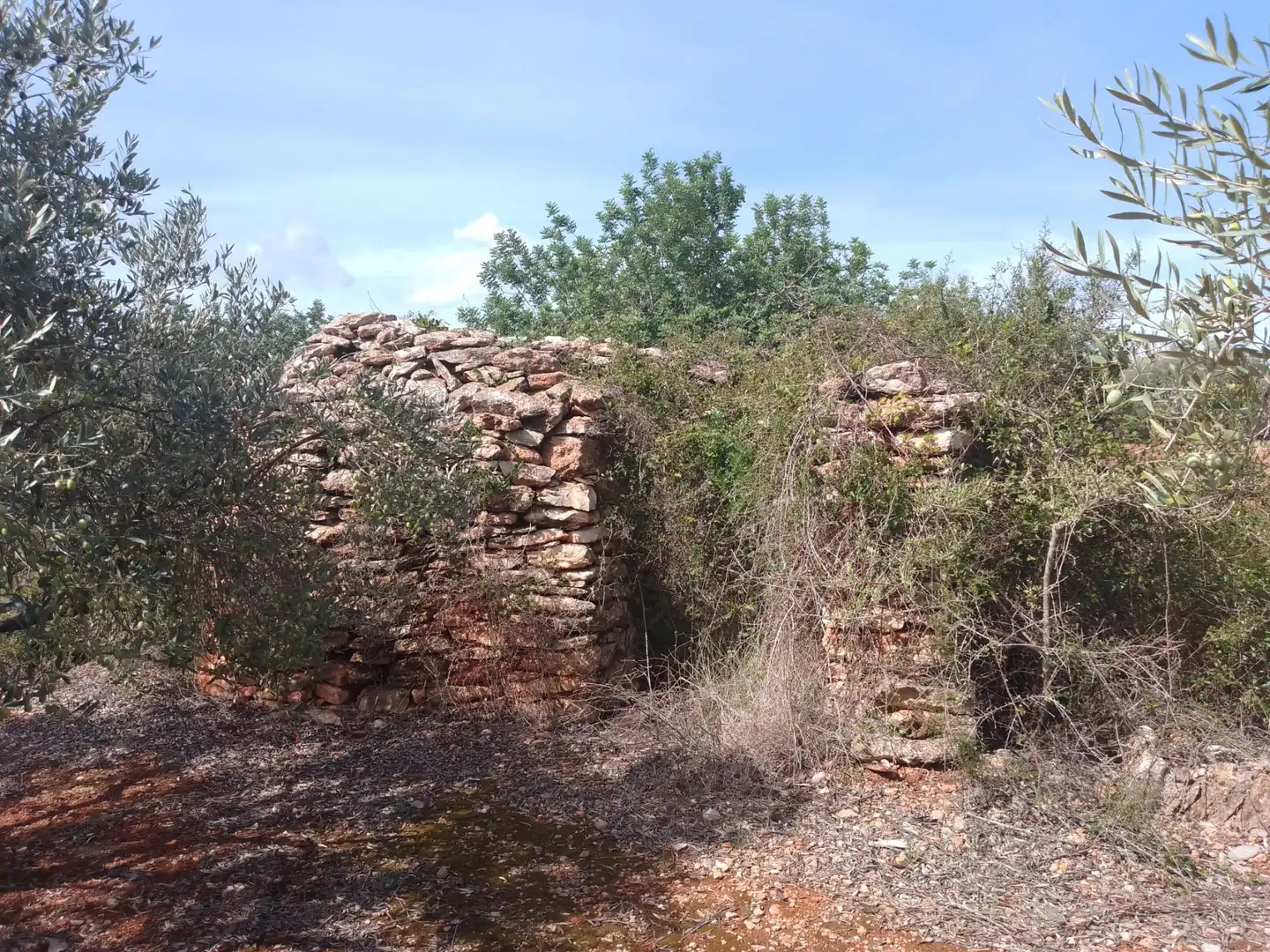 Terreny rústic en venda a Càlig, imagen 2