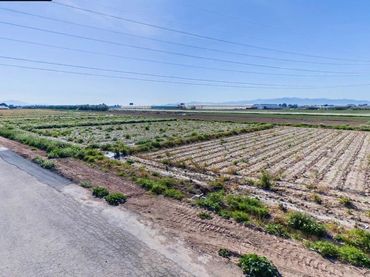 Terreno rustico in vendita a Totana