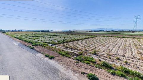 Terreno Agrario VIA NUEVA, Totana