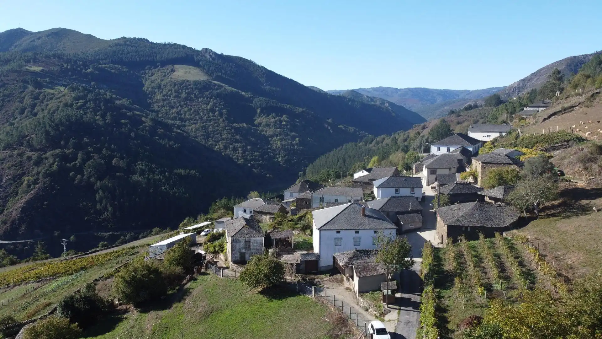 Vista exterior de Finca rústica en venda en Negueira de Muñiz , Lugo